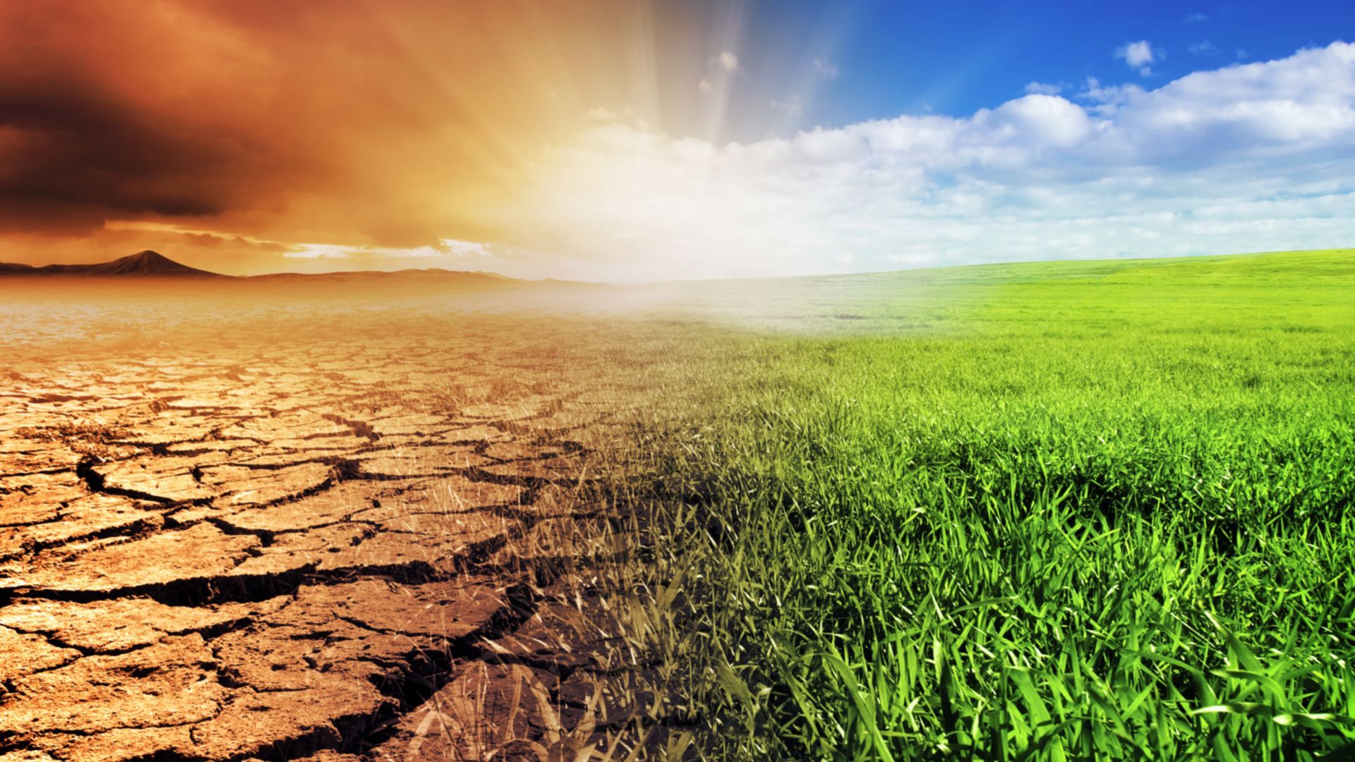 ทุ่งหญ้ากลายเป็นดินแห้งแตกระแหง